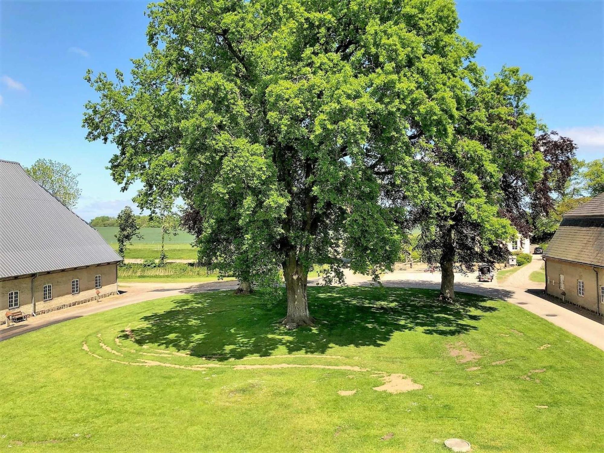 Ferienwohnungen Herrenhaus Gut Oestergaard Steinberg  Kültér fotó